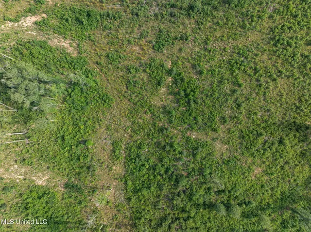 $216,700 | 22 Acres Mol Todd Road, Sumrall, MS 39482