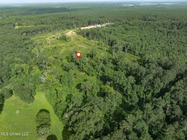 $216,700 | 22 Acres Mol Todd Road, Sumrall, MS 39482