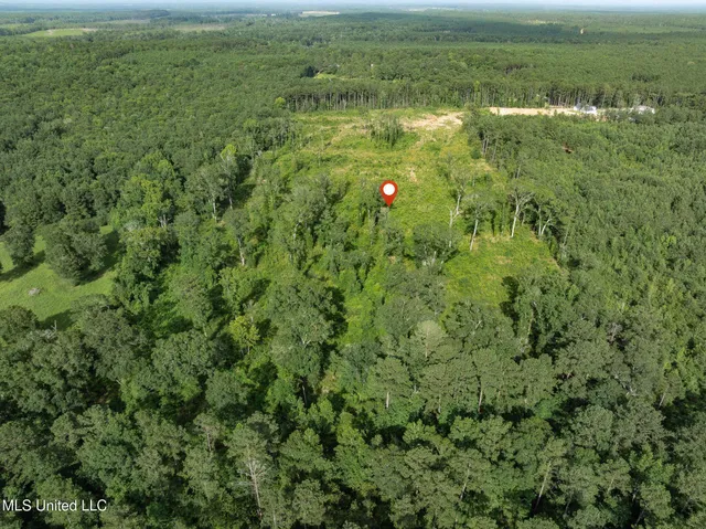 $216,700 | 22 Acres Mol Todd Road, Sumrall, MS 39482