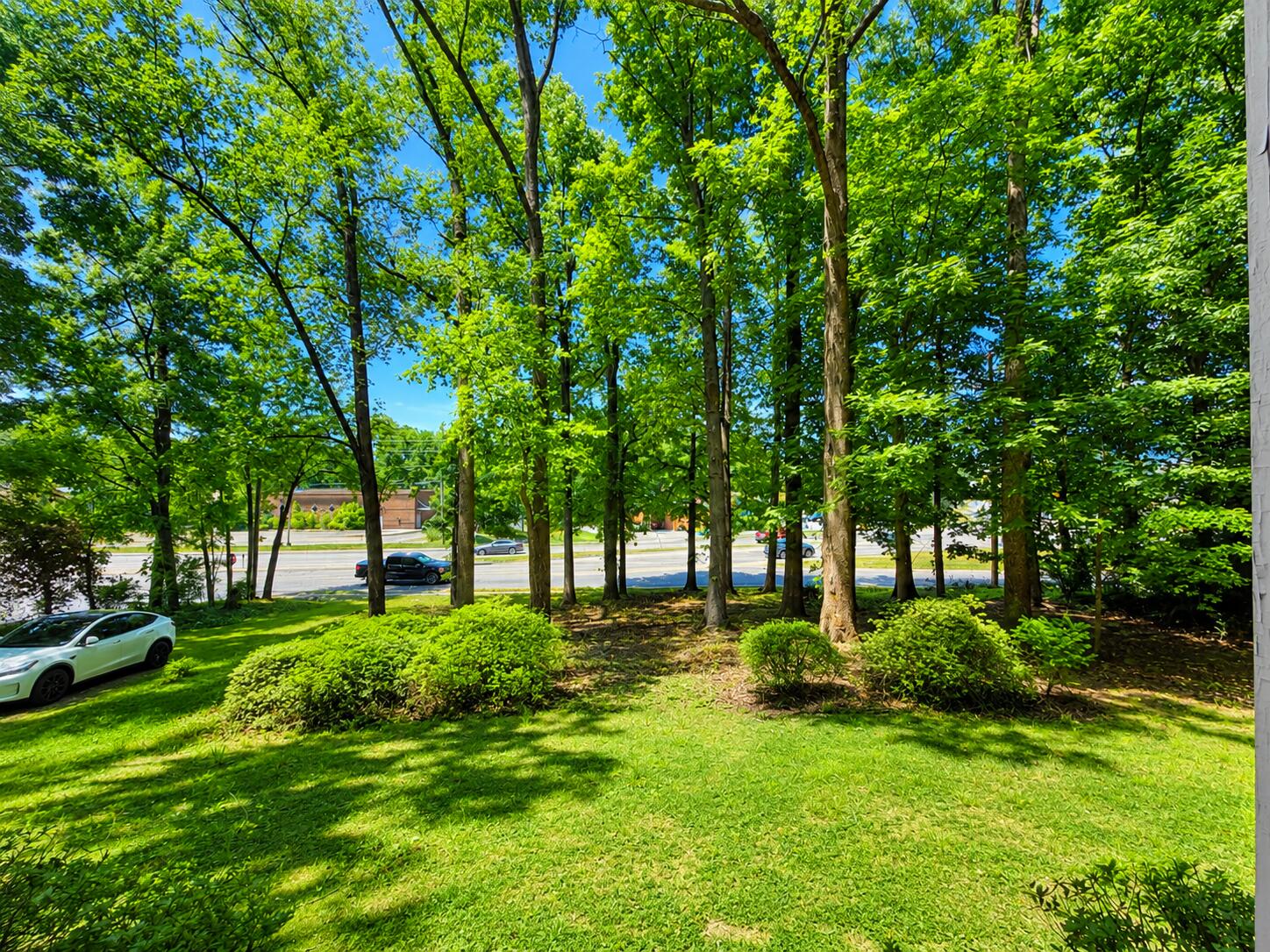 1009 Hardy Road Vinton, VA 24179 - Photo 3 of 41 hard1