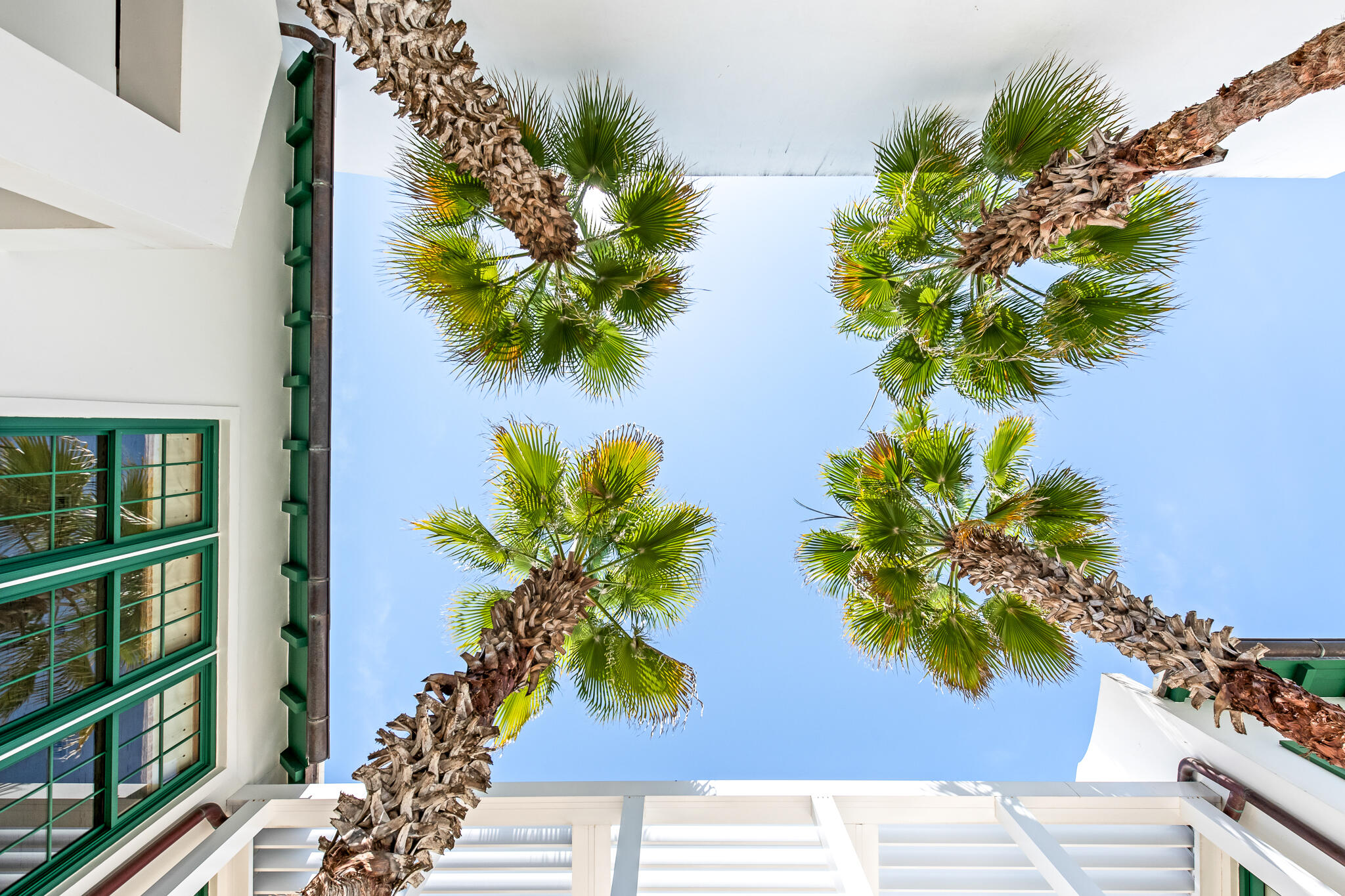 101 Charles Street Inlet Beach, FL 32461 - Photo 39 of 59 a view of a house with a flower garden