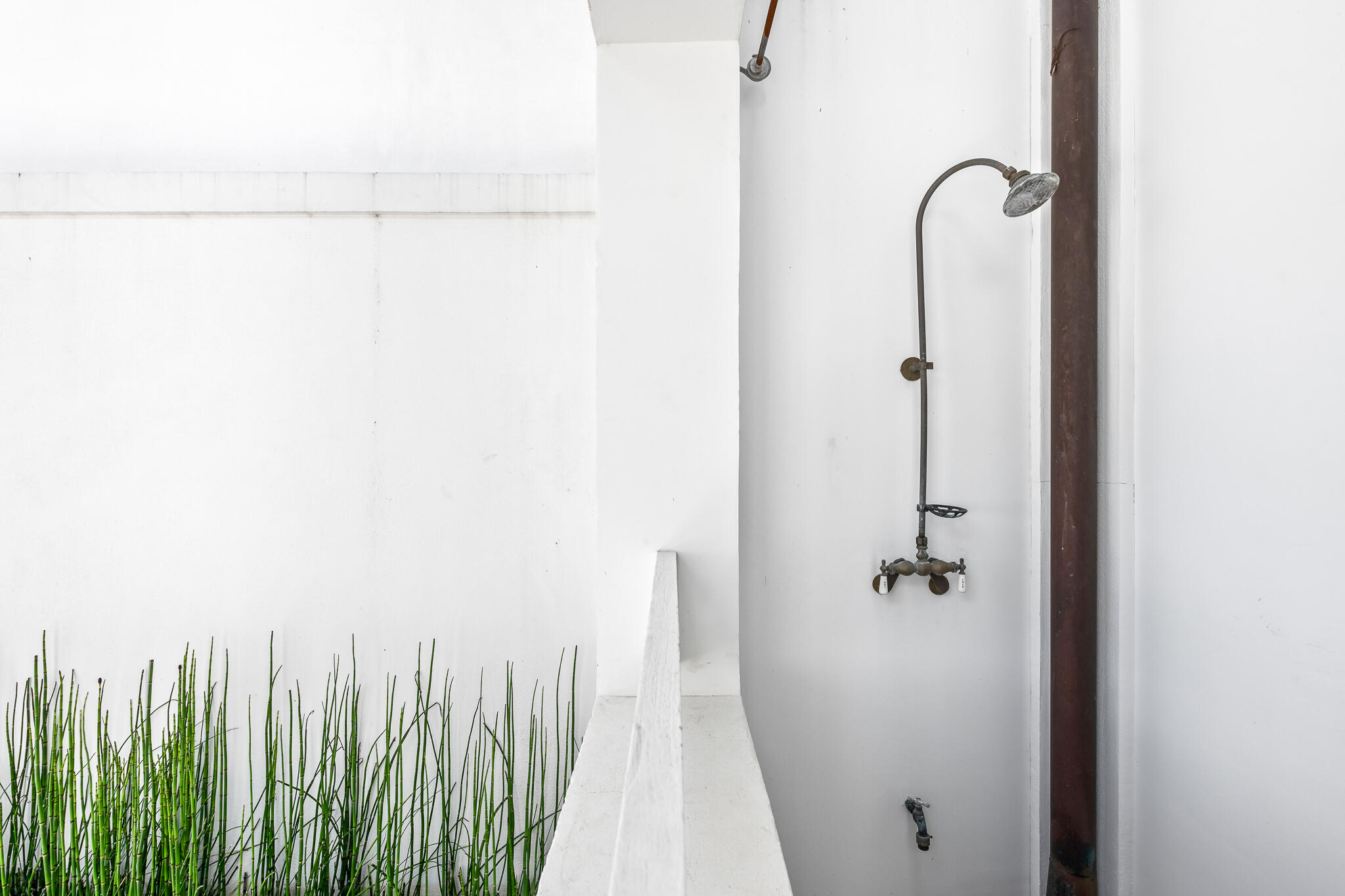 101 Charles Street Inlet Beach, FL 32461 - Photo 47 of 59 a bathroom with a shower