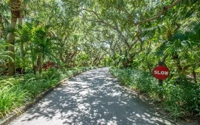 a front view of a house with plants and trees