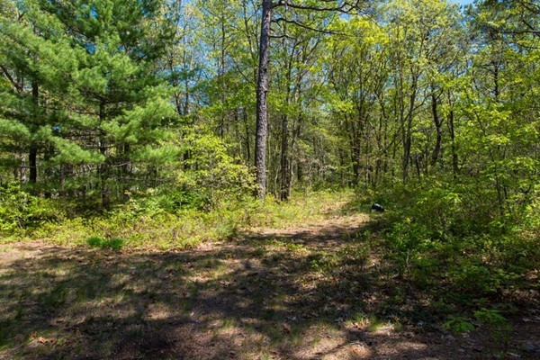 45-0 Vineyard Road Barnstable, MA 02635 - Photo 6 of 24 Gallery Image 6