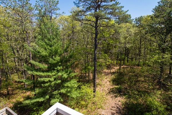 45-0 Vineyard Road Barnstable, MA 02635 - Photo 9 of 24 Gallery Image 9