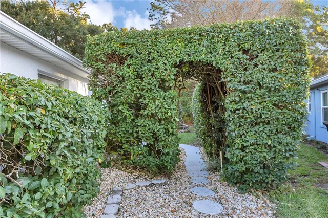 a view of a patio with a tree