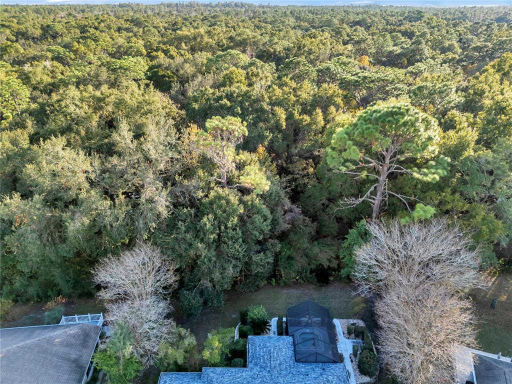 11558 Southwest 74th Court Ocala, FL 34476 - Photo 53 of 59