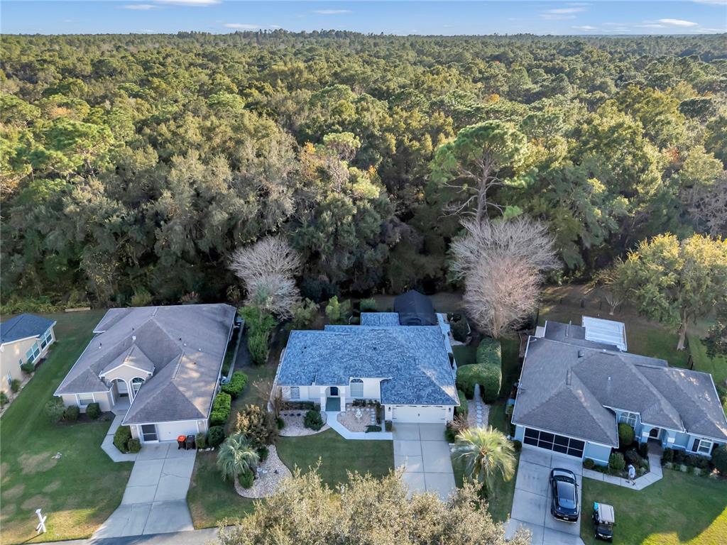 11558 Southwest 74th Court Ocala, FL 34476 - Photo 54 of 59