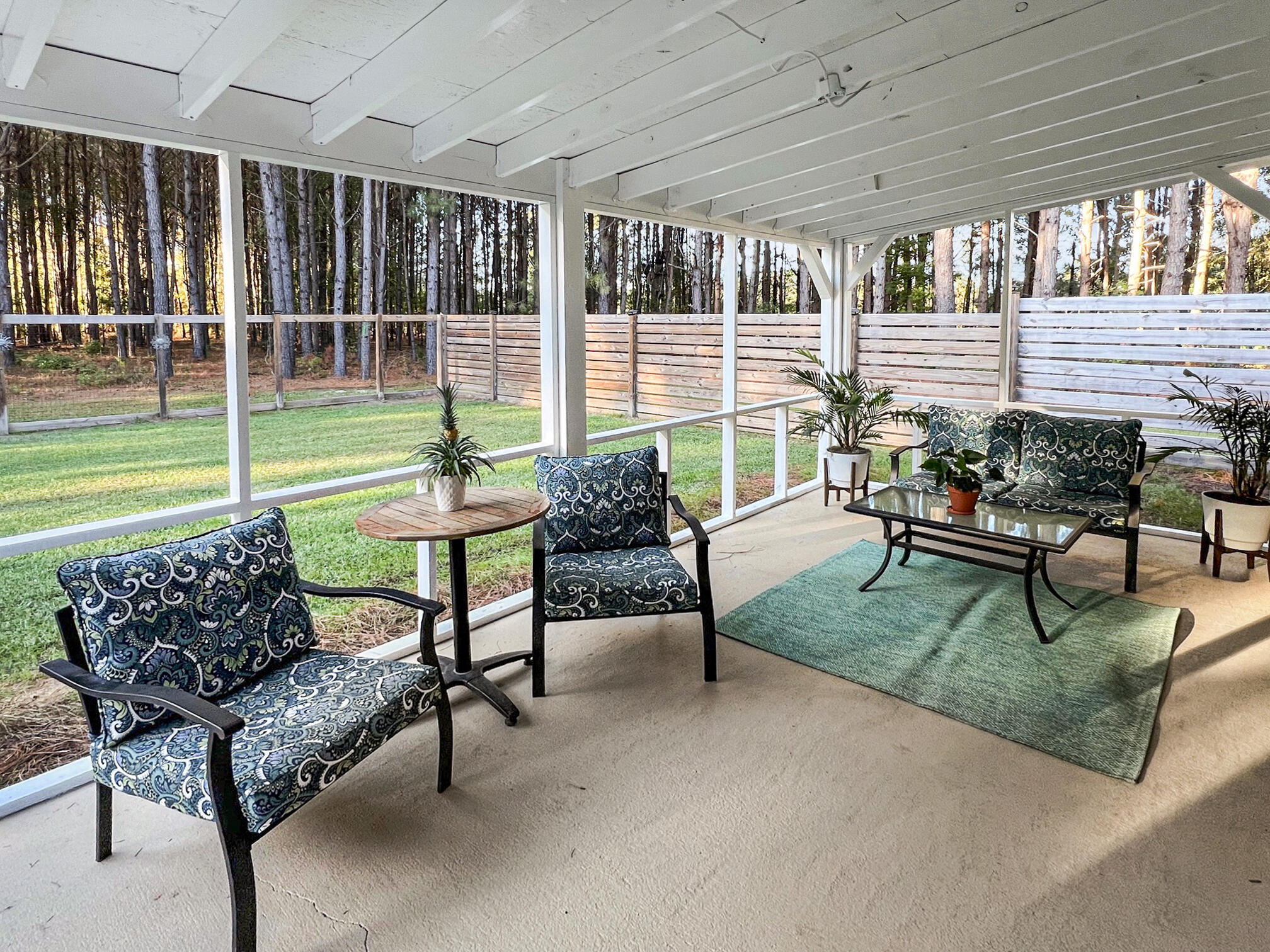 252 Short Cut Road Harleyville, SC 29448 - Photo 23 of 28 shortcutpatio1
