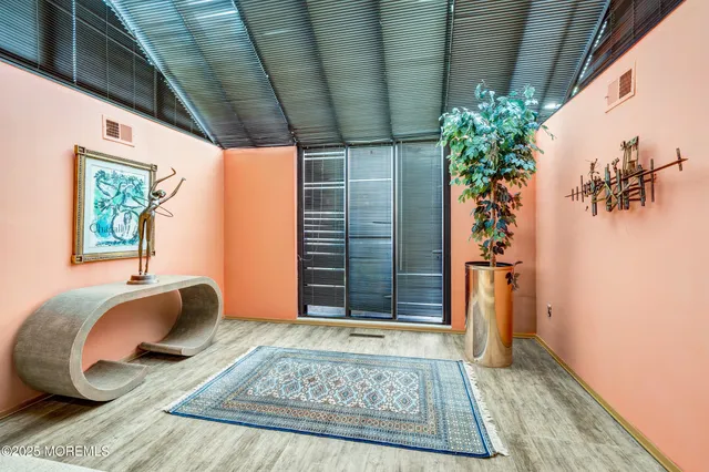 a living room with a rug and a potted plant