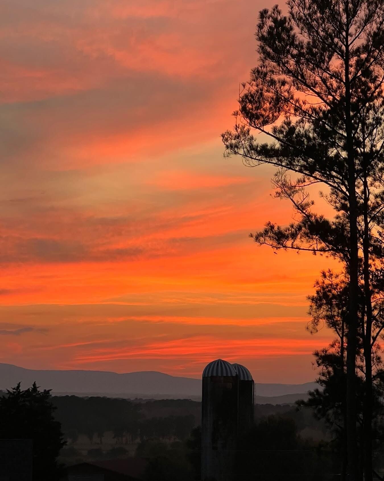 75 Battleview Drive Ringgold, GA 30736 - Photo 47 of 58 a view of sunset