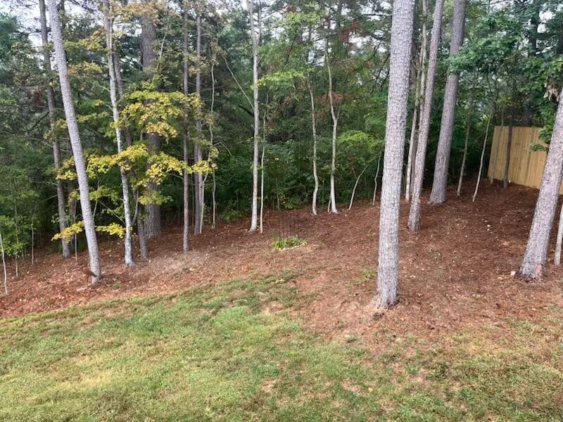 75 Battleview Drive Ringgold, GA 30736 - Photo 48 of 58 a view of a forest with lots of trees