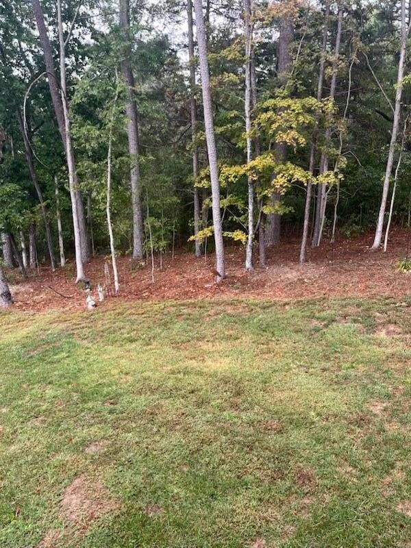 75 Battleview Drive Ringgold, GA 30736 - Photo 50 of 58