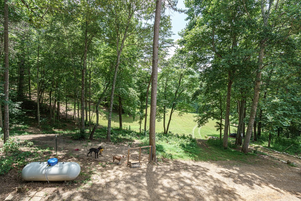 860 Holly Road Murphy, NC 28906 - Photo 31 of 62