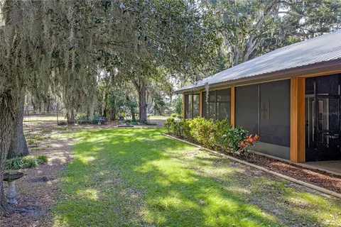 a view of a yard with plants and trees