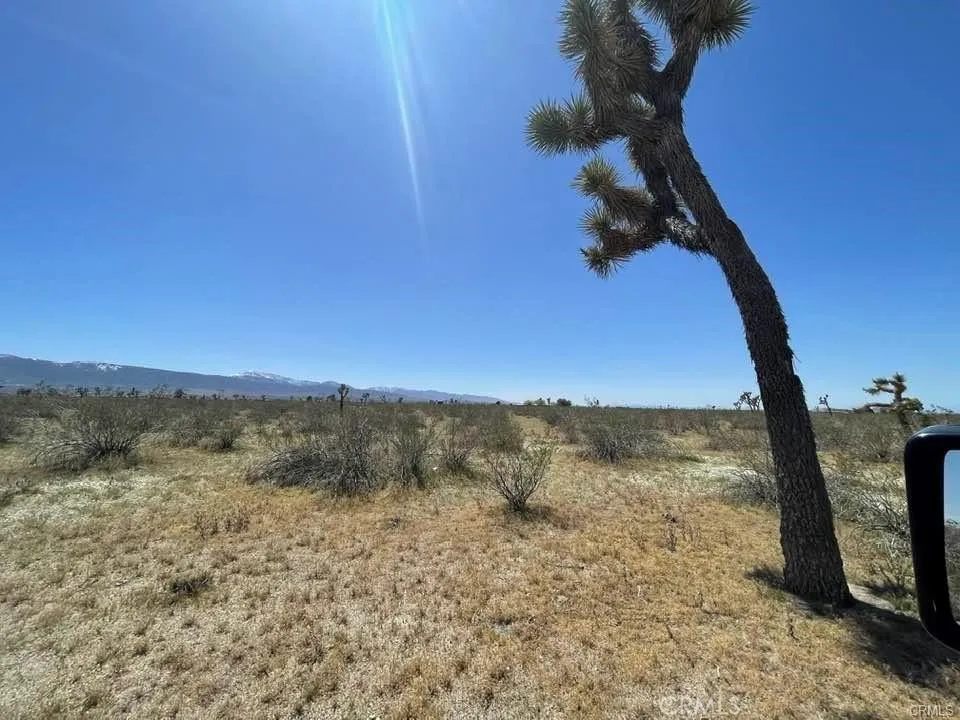 0 Dos Palmas Road Pinon Hills, CA 92372 - Photo 13 of 18