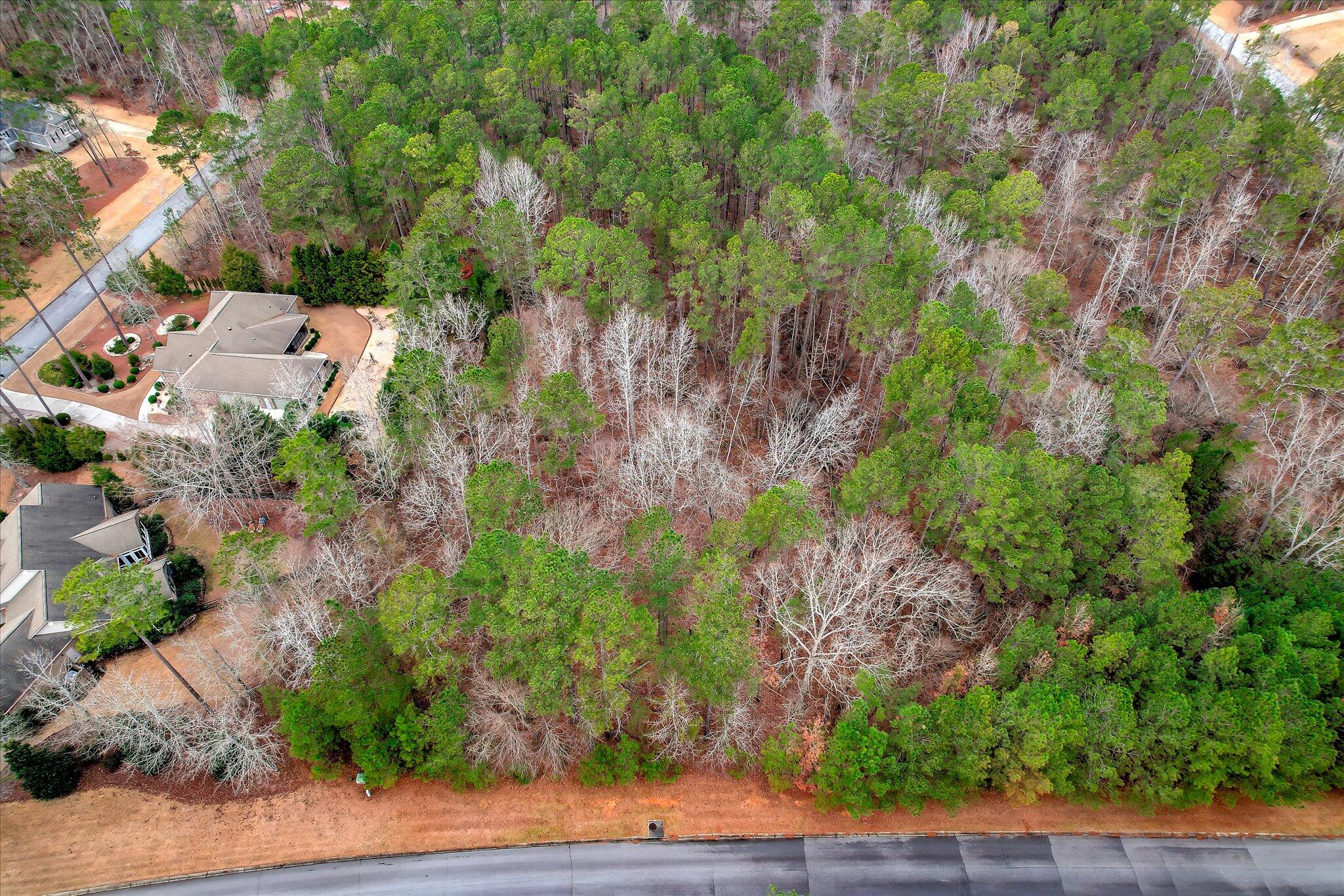 Lot K-18 Lot K-18 Collin Reeds Road Edgefield, SC 29824 - Photo 3 of 24