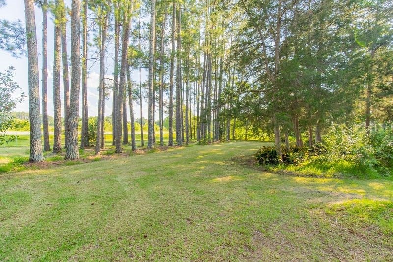 4908 Antioch Road Adel, GA 31620 - Photo 36 of 42 Gallery Image 36