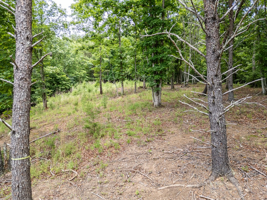 1 Stormy Ridge Brasstown, NC 28902 - Photo 10 of 20