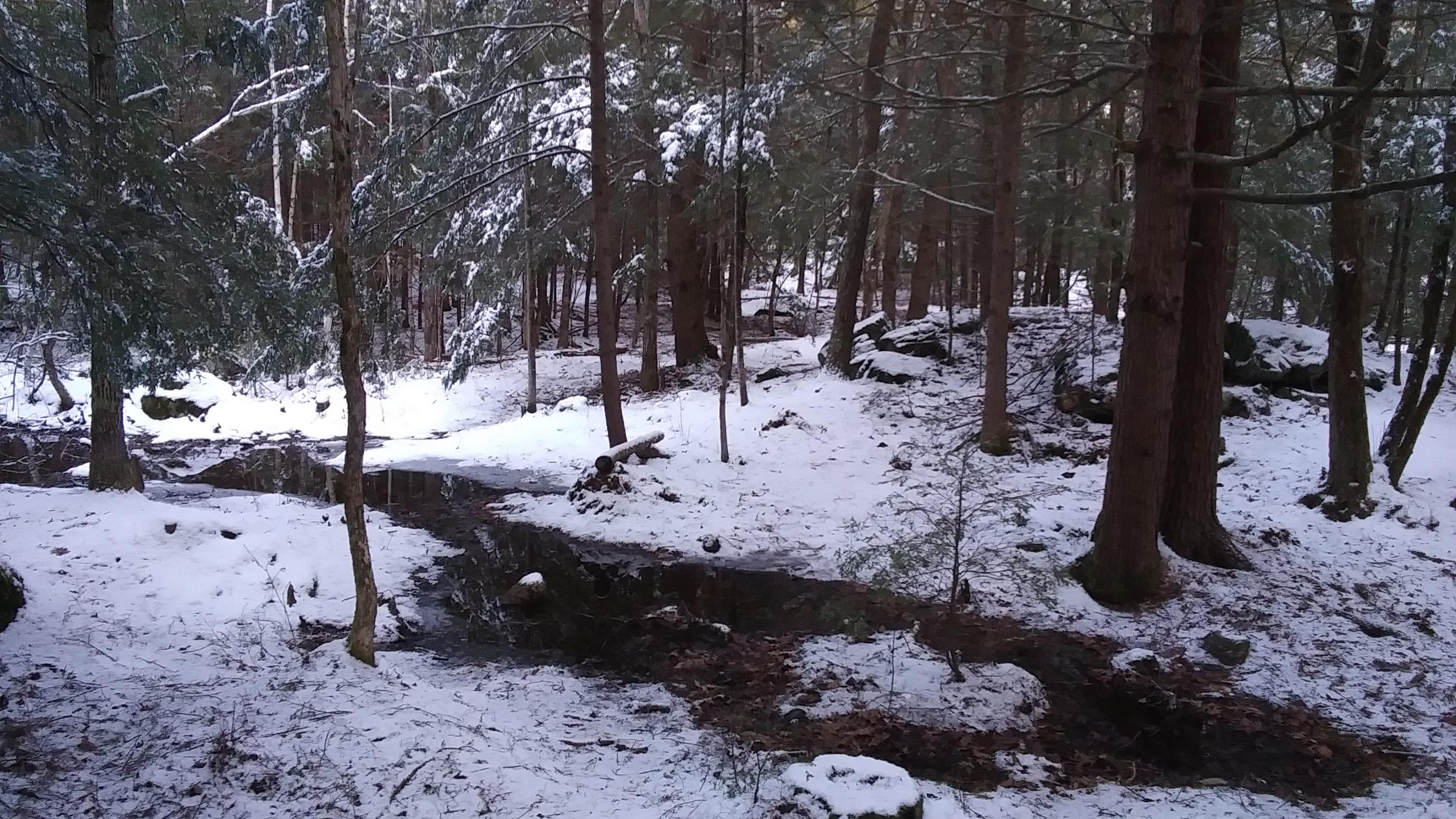 0 Gilman Hill Road Woolwich, ME 04579 - Photo 6 of 9 0 Gillman Hill Road