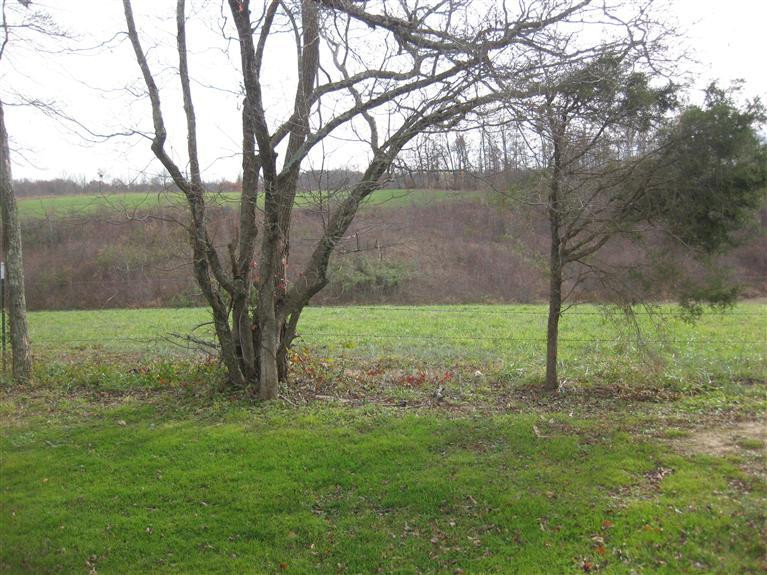 146 K & L Road London, KY 40741 - Photo 4 of 13 Photo 4