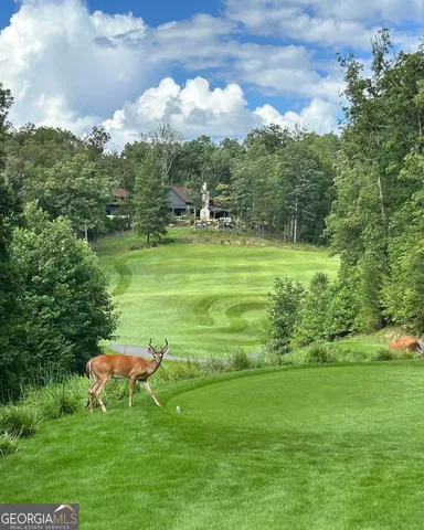 a view of a golf course with a lake