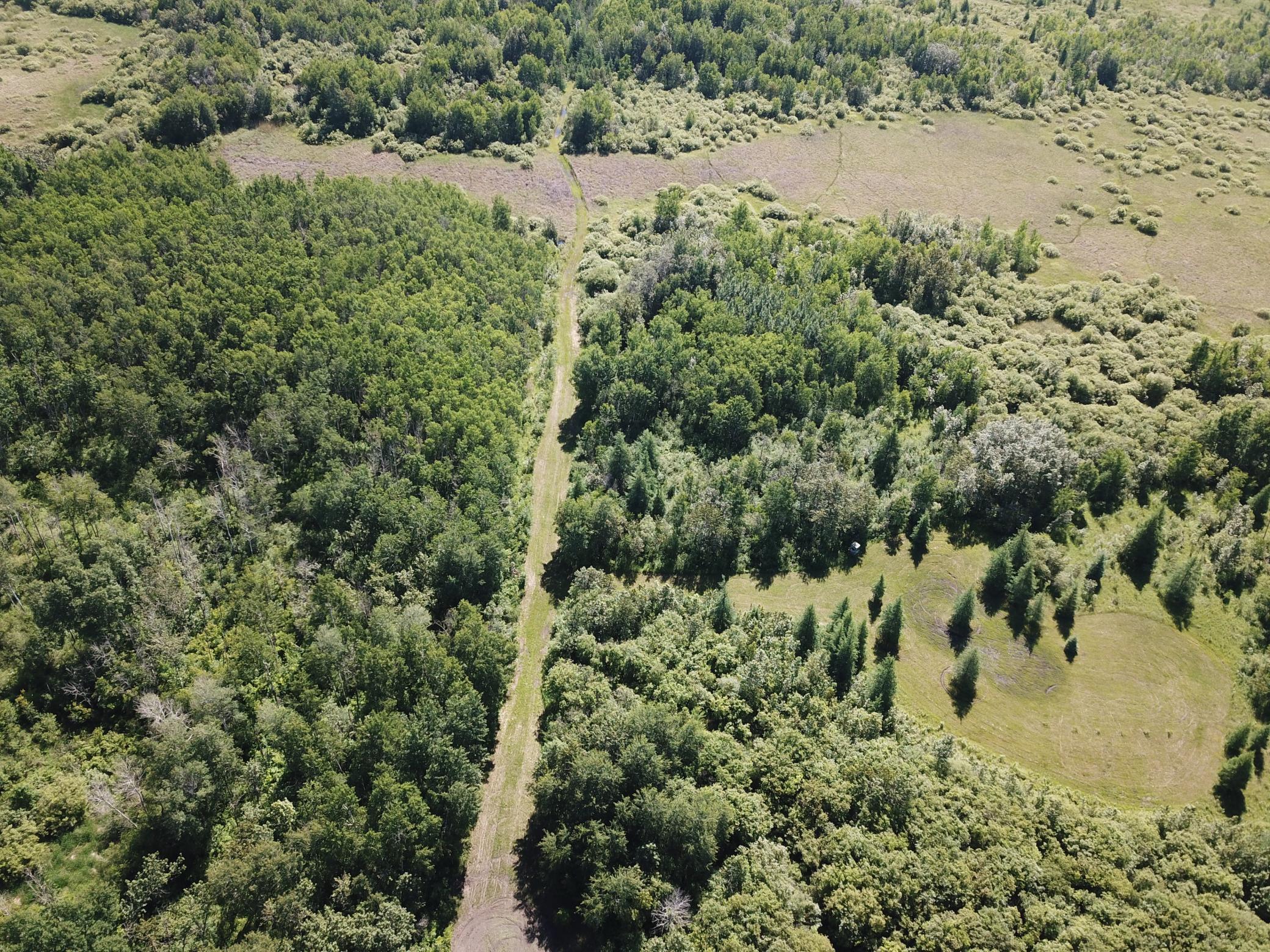Tbd 440th Avenue Roseau, MN 56751 - Photo 7 of 80