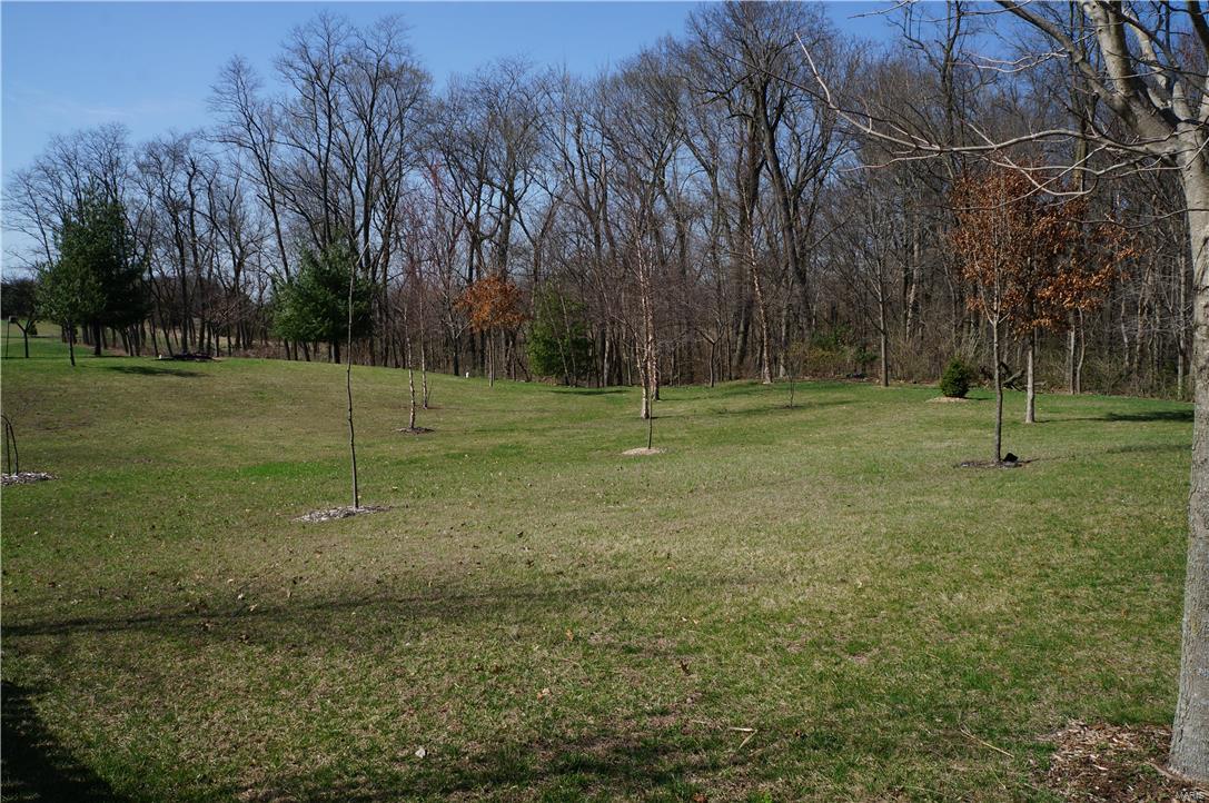 8433 Timber Ridge Drive Edwardsville, IL 62025 - Photo 14 of 97