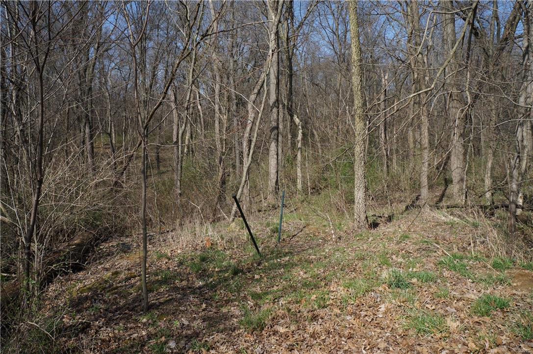 8433 Timber Ridge Drive Edwardsville, IL 62025 - Photo 16 of 97