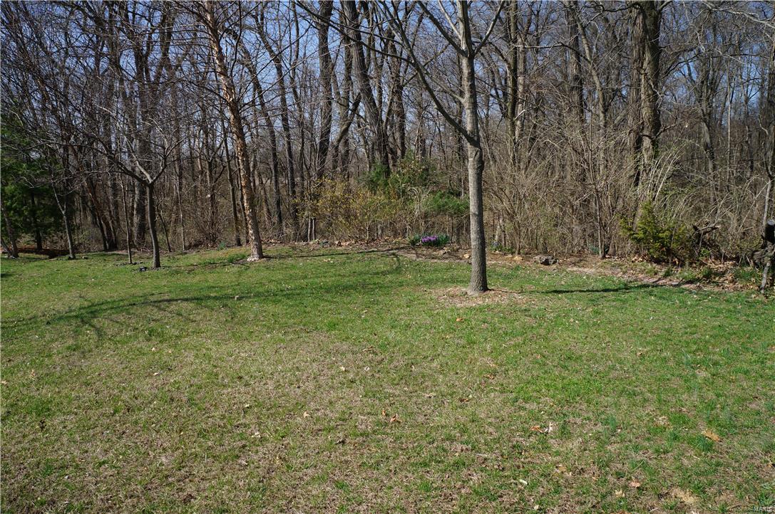 8433 Timber Ridge Drive Edwardsville, IL 62025 - Photo 17 of 97