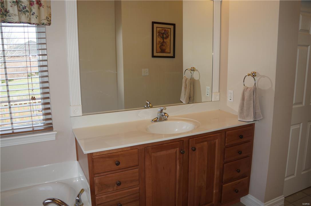 8433 Timber Ridge Drive Edwardsville, IL 62025 - Photo 74 of 97