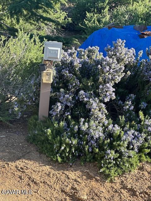 8727 Wintergreen Road Pinon Hills, CA 92372 - Photo 12 of 21 IMG_4602