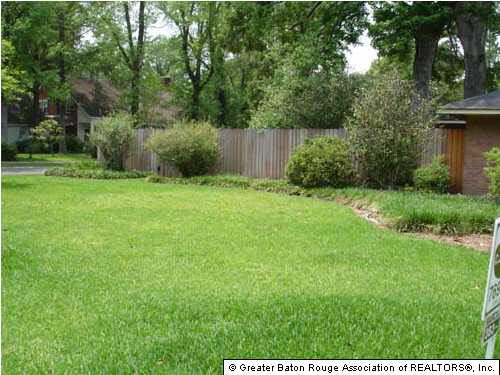 1205 Stephens Avenue Baton Rouge, LA 70808 - Photo 2 of 8 Gallery Image 2