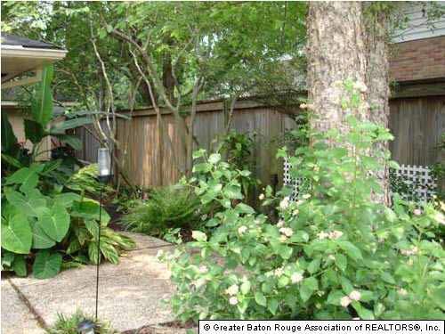 1205 Stephens Avenue Baton Rouge, LA 70808 - Photo 5 of 8 Gallery Image 5