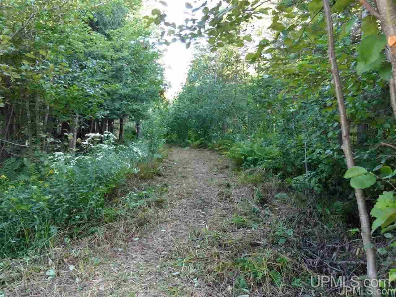 Tbd Sandstone B Road Lake Linden, MI 49945 - Photo 4 of 50