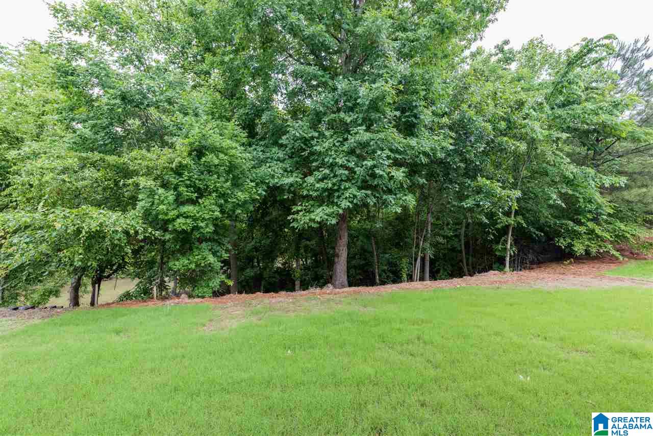 5230 Brookside Pass Birmingham, AL 35244 - Photo 50 of 50