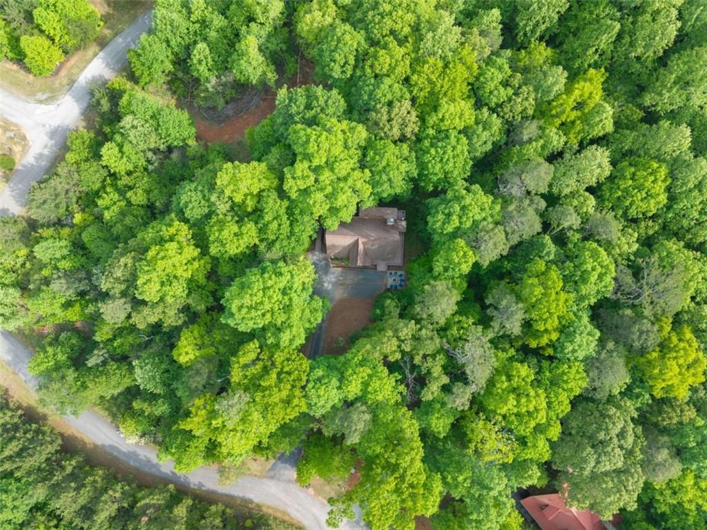 53 Elm Ridge Drive Cleveland, GA 30528 - Photo 51 of 60 a backyard of a house with lots of green space