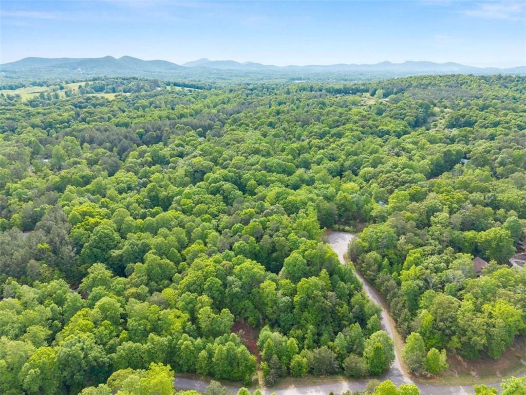 53 Elm Ridge Drive Cleveland, GA 30528 - Photo 53 of 60 a view of a lush green forest with a mountain