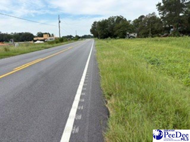 2.37-acres Byrdtown Road Hartsville, SC 29550 - Photo 4 of 4 Gallery Image 4