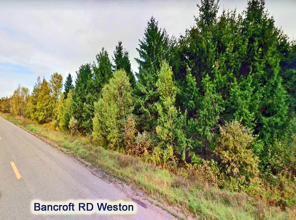 Lot 5 Bancroft Road Weston, ME 04424 - Photo 2 of 9 weston-me-lot-5-bancroft-rd