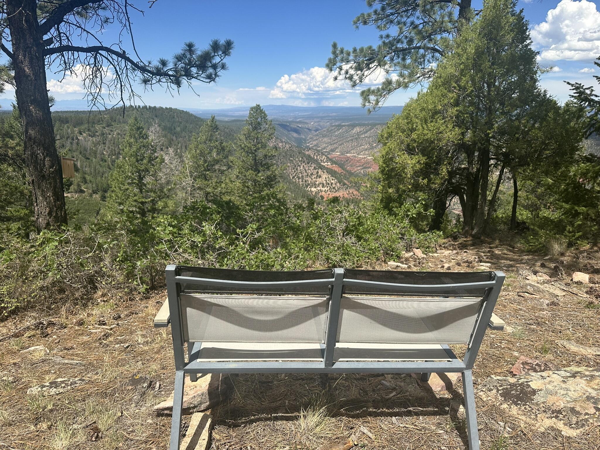 135 Canyon Rim Loop Placerville, CO 81430 - Photo 53 of 61 Take In the...