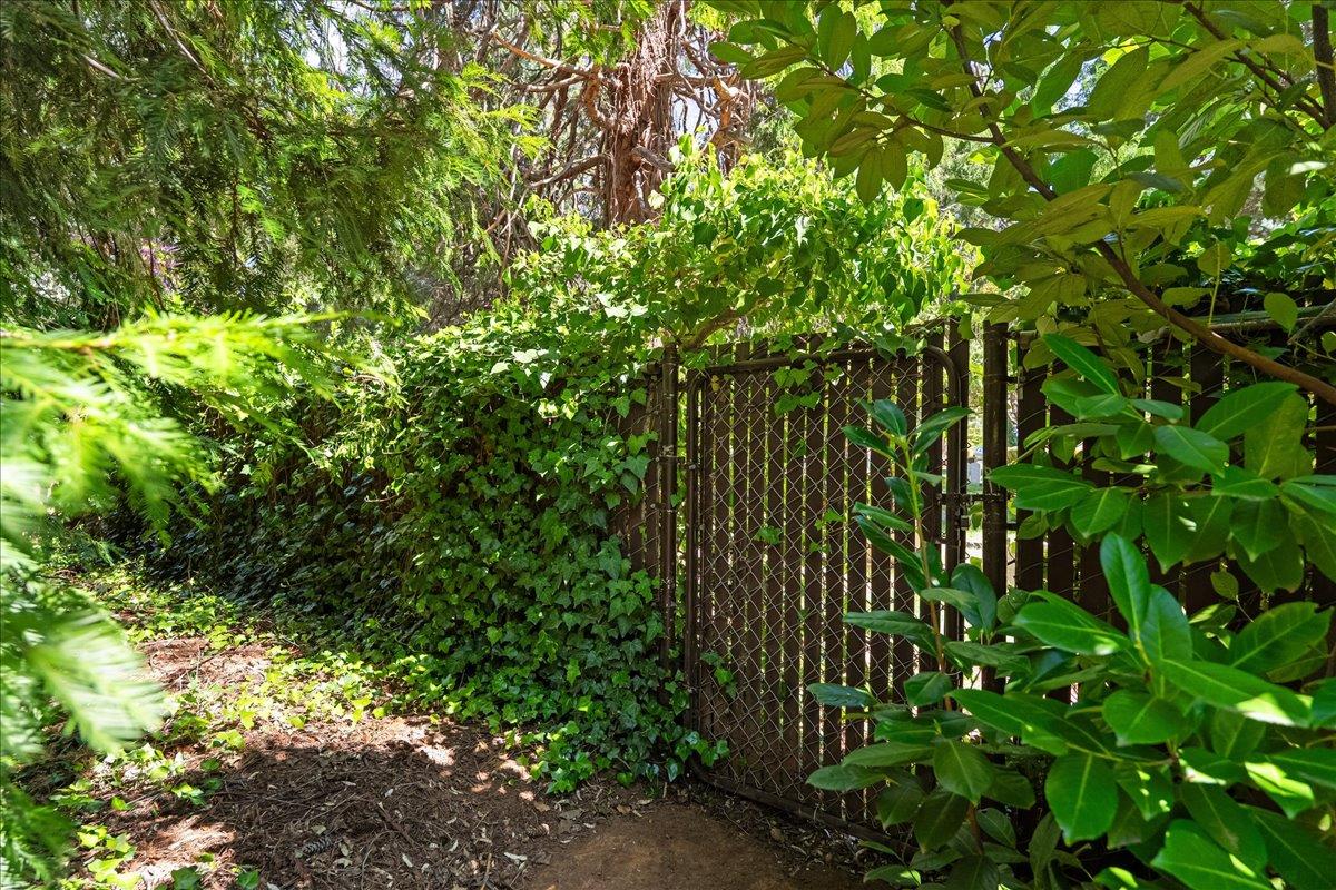 10041 Greenwood Road Grass Valley, CA 95945 - Photo 49 of 65 a view of a garden