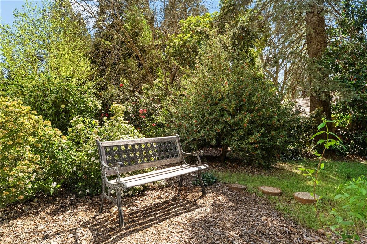 10041 Greenwood Road Grass Valley, CA 95945 - Photo 51 of 65 a view of a bench in a garden
