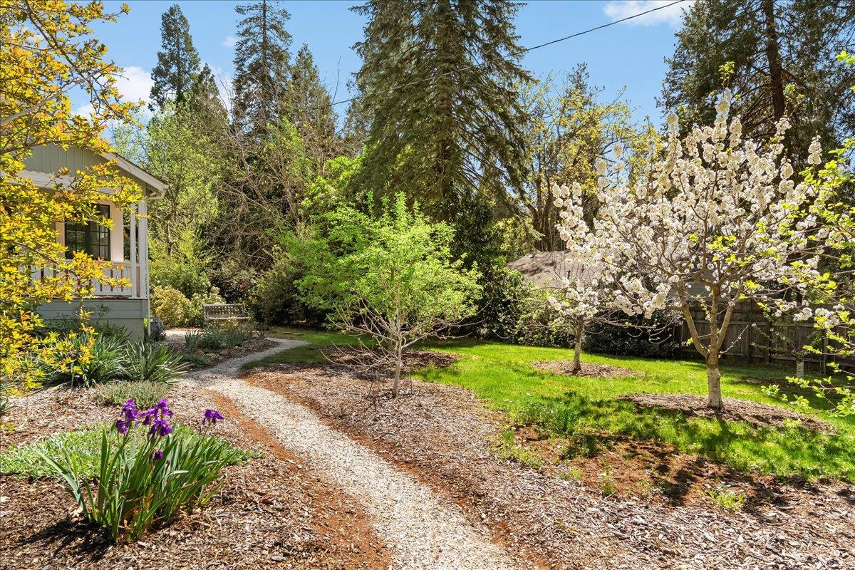 10041 Greenwood Road Grass Valley, CA 95945 - Photo 55 of 65