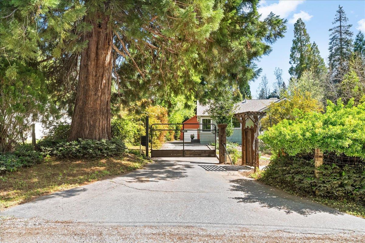 10041 Greenwood Road Grass Valley, CA 95945 - Photo 58 of 65 a view of a house with a tree in front