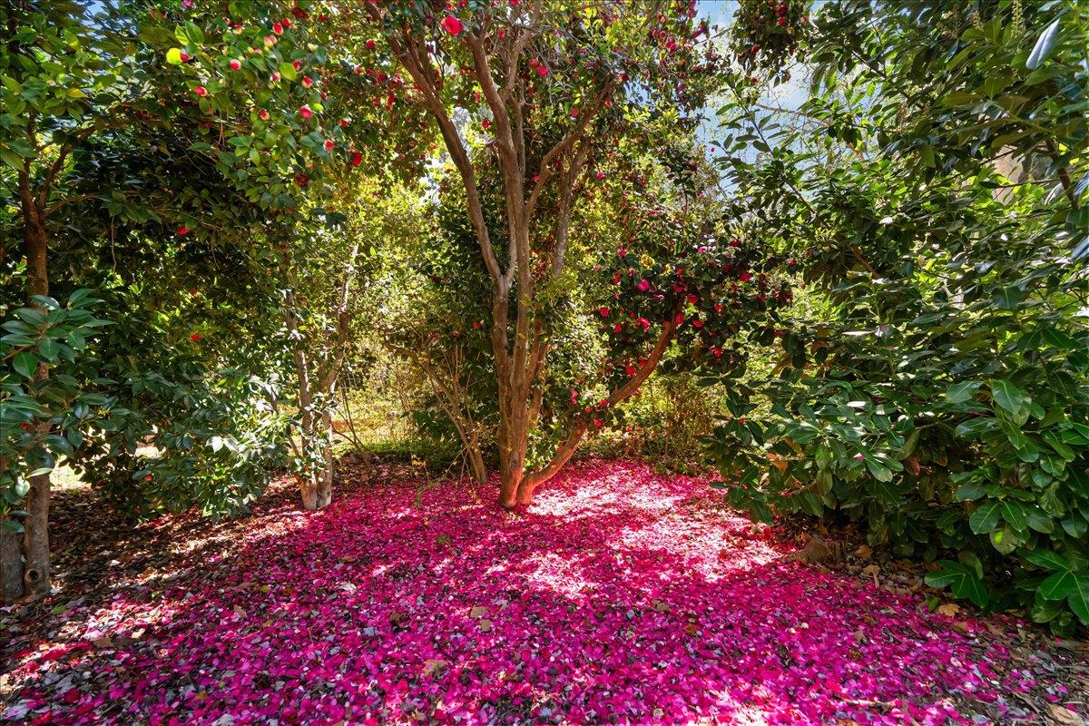 10041 Greenwood Road Grass Valley, CA 95945 - Photo 8 of 65