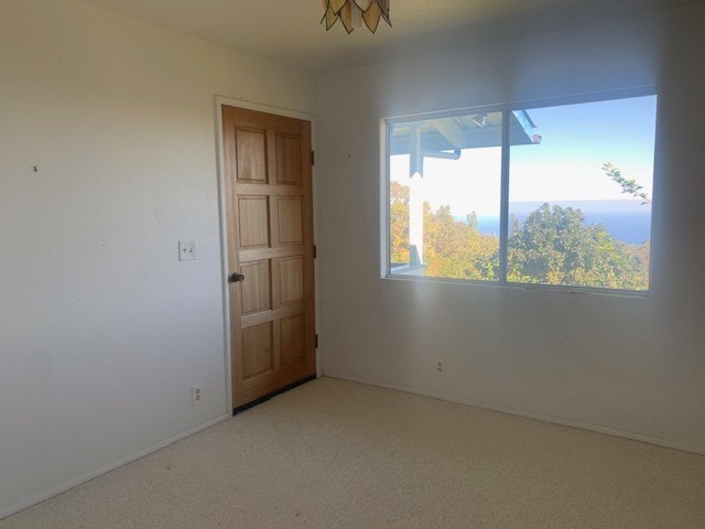41-1514 Homestead Road Ookala, HI 96774 - Photo 16 of 30 an empty room with a window
