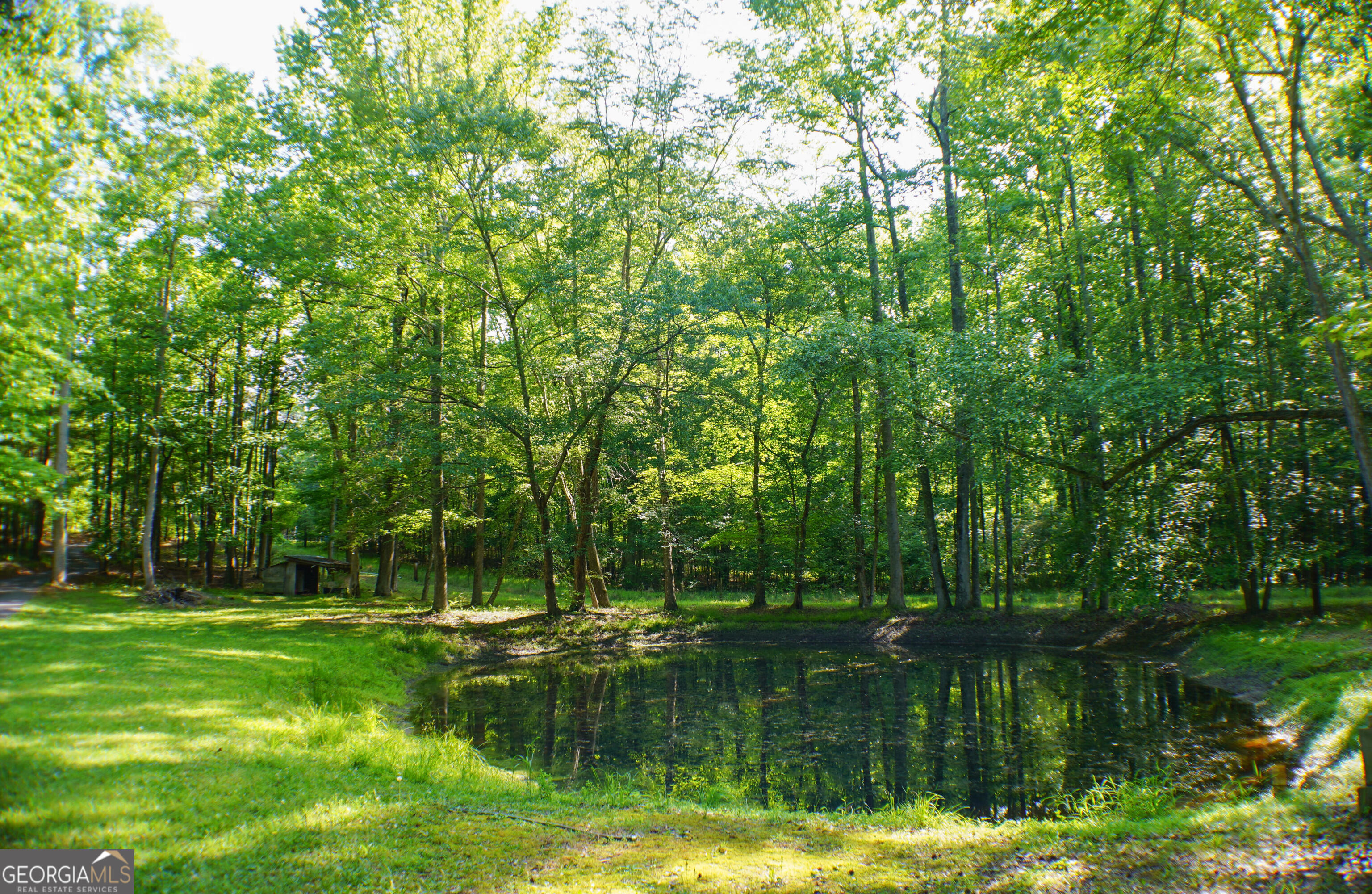 335 Winding Stream Trail Hampton, GA 30228 - Photo 35 of 35 a view of a lake with a yard