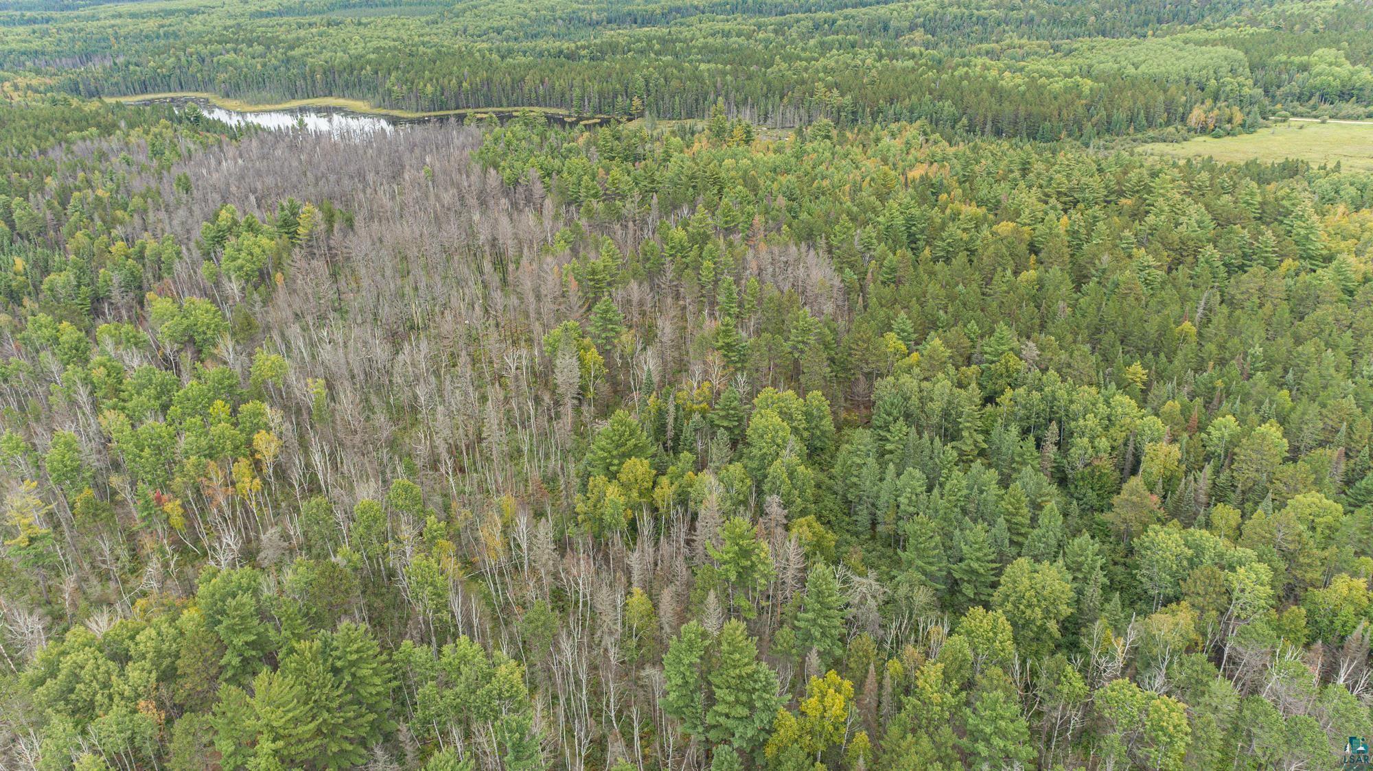 Xxxtbd Xxxtbd Moose Loop Orr, MN 55771 - Photo 12 of 45