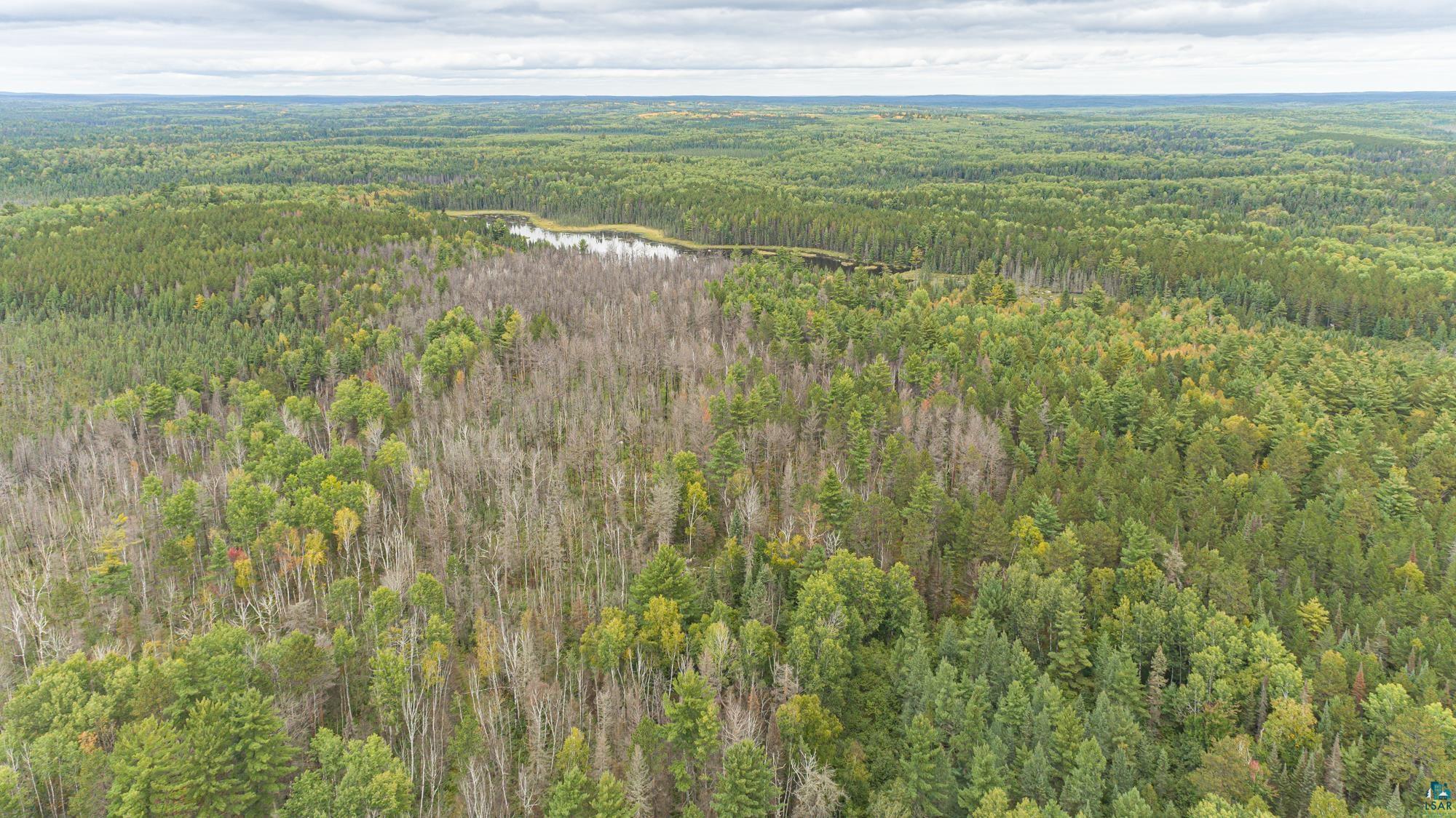 Xxxtbd Xxxtbd Moose Loop Orr, MN 55771 - Photo 13 of 45